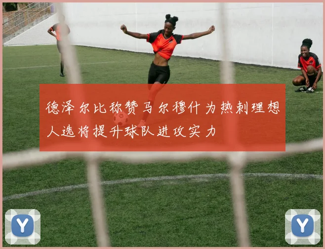 德泽尔比称赞马尔穆什为热刺理想人选将提升球队进攻实力