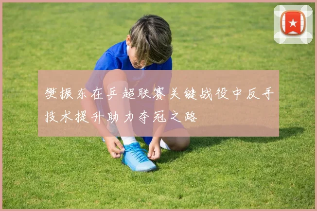 樊振东在乒超联赛关键战役中反手技术提升助力夺冠之路